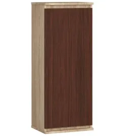 witryna-do-salonu-40-cm-pionowa-dab-sonoma-wenge