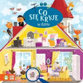 co-sie-kryje-w-domu