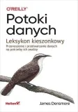 potoki-danych-leksykon-kieszonkowy