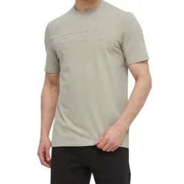 t-shirt-meski-guess-alphy-z2ri10-j1311-szary