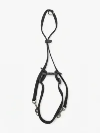 kaganiec-dla-psa-uzdowy-dl-max-38cm-sze-2cm