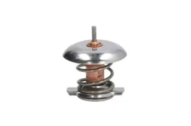 termostat-cieczy-chlodzacej-thermotec-d2v001tt