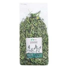 tivo-lucerna-ziola-150g