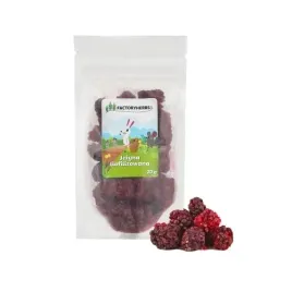 factoryherbs-jezyna-liofilizowana-20g