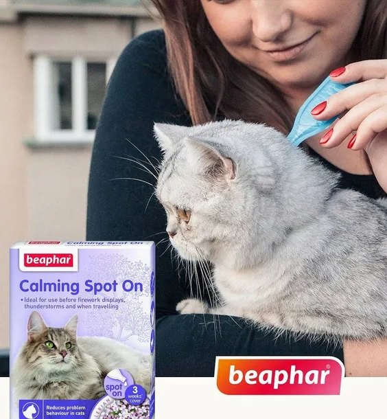 beaphar-calming-spot-on-cat-04ml-krople-zastosowanie-walka-z-zapachem
