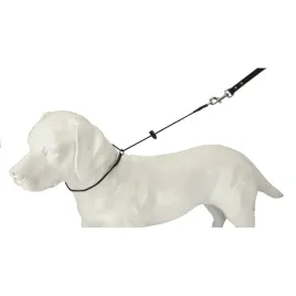 dingo-obroza-treningowa-zaciagana-z-linki-polipropylenowej-3-mm-dl-45-cm
