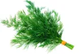 koper-ogrodowy-szmaragd-do-kwaszenia-mrozenia-na-zielono-aromatyczny-5g-marka-i-s-jacaszek