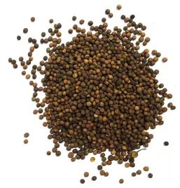 wyka-kosmata-rea-ozima-poplon-pasze-zielonke-kwalifikowana-nasiona-wyki-1kg