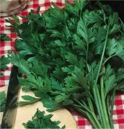bio-pietruszka-gigante-d-italia-pietruszka-naciowa-nasiona-2-g