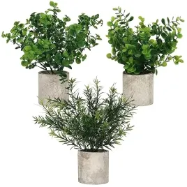 vous-mini-doniczkowe-sztuczne-rosliny-eukaliptusowe-3-sztuki-mala-rosliny