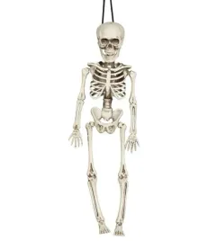 szkielet-wiszacy-kosciotrup-40cm-halloween-kostek