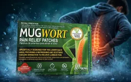 mugwort-pain-relief-patches-na-bol-ledzwi