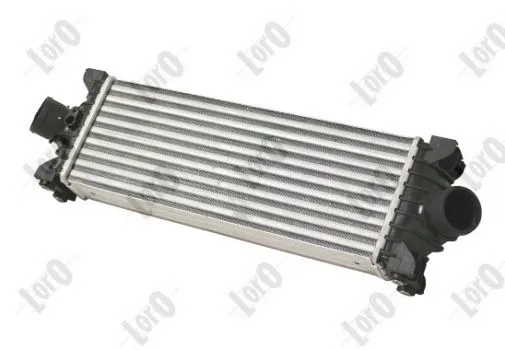 intercooler-transit-tourneo-transit-custom-1748579-typ-samochodu-autobusy-samochody-dostawcze