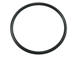 oring-alternatora-pod-vacuum