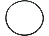 oring-alternatora-as-pl