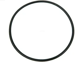 oring-alternatora-as-pl