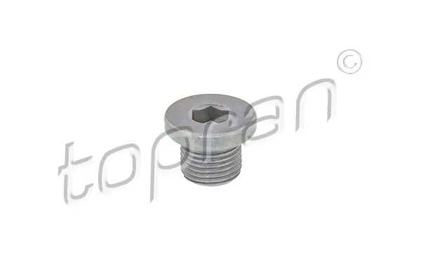 sruba-spustu-oleju-citroen-c4-04-