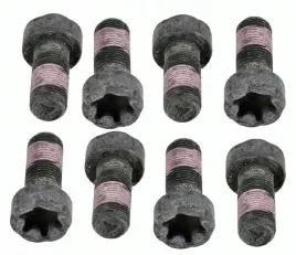 zestaw-srub-kola-zamachowego-sachs-1874-000-050