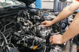 kolo-pasowe-alternatora-db-stan-nowy-jakosc-czesci-zgodnie-z-gvo-q-oryginal-z-logo-producenta-czesci-oem-oes