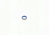 pierscien-pompy-wtr-producent-czesci-bosch