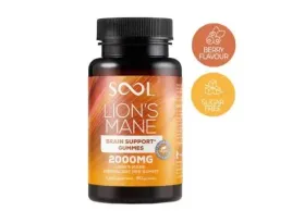 sool-zelki-lion-s-mane-mushroom-60szt