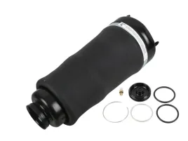 miech-zawieszenia-pneumatycznego-przod-mercedes-r-w251