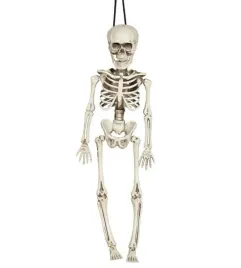 szkielet-wiszacy-kosciotrup-40cm-halloween-kostek