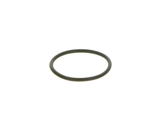 pierscien-pompy-wtr-producent-czesci-bosch