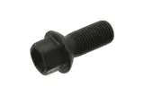 sruba-kola-db-cla-19-
