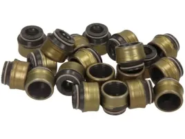 zestaw-uszczelniaczy-trzonek-zaworu-db-om605