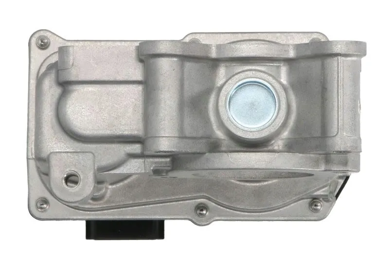 przepustnica-renault-clio-12-07-