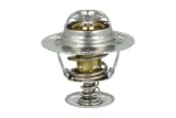 termostat-ford-92c