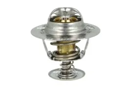 termostat-ford-92c