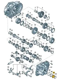 zaslepka-skrz-bieg-vw