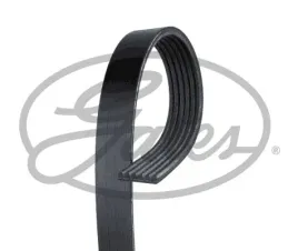 pasek-wielorowkowy-6pk2063