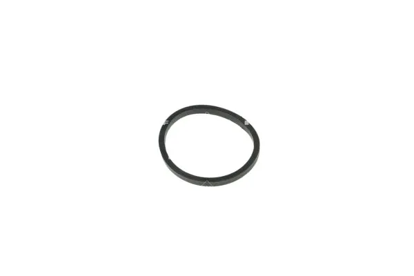 termostat-renault-89c