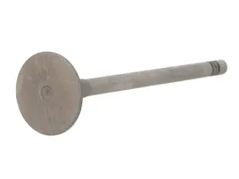 zawor-ss-renault-2-0dci-2-3dci-16v