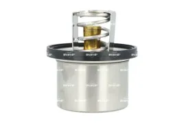termostat-porsche-88c