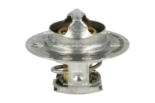 termostat-renault-89c