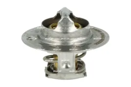 termostat-renault-89c