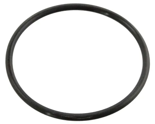 uszczelka-termostatu-ford-c-max-1-8-07-