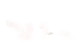 lacznik-przewodow-ham-kod-producenta-03-3390-0130-1