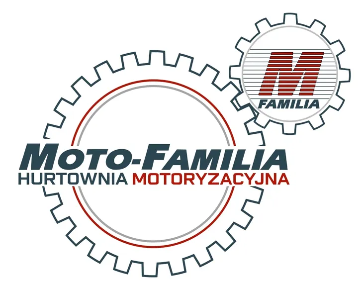 uszczelka-pompki-spr-bmw-wersja-europejska