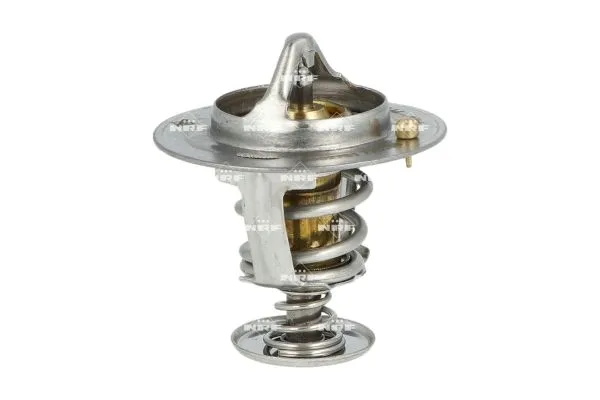 termostat-renault-71c-mascott-04-waga-produktu-5-kg