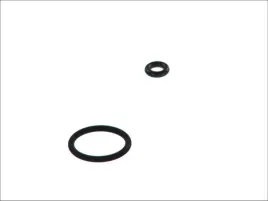 oring-vw-zaworu-reg-cisn-pali