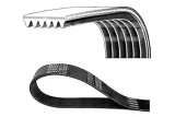 pasek-wielorowkowy-6pk2425-jakosc-czesci-zgodnie-z-gvo-q-oryginal-z-logo-producenta-czesci-oem-oes