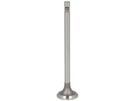 zawor-ss-1-6dci-1-7dci-16v