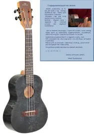 uc-hfm-ukulele-koncertowe-lity-top-swierkowy-arsnova-kurs