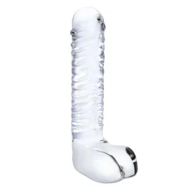 glas-ribbed-model-20-cm-anatomiczny-model-szklany-z-zebrowaniami