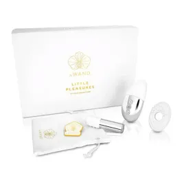 le-wand-little-pleasures-zestaw-6w1-silver-chrome-komplet-akcesoriow